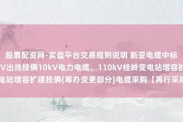 股票配资网-实盘平台交易规则说明 新亚电缆中标：加多鹅塘片区10kV出线技俩10kV电力电缆、110kV桂岭变电站增容扩建技俩(筹办变更部分)电缆采购【再行采购】成交效果公告